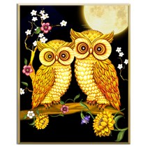 FASEN diy보석십자수 캔버스 형액자 세트 40cm x 50cm, AYW-13부엉이 2