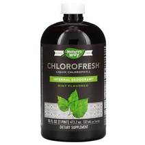 네이쳐스 웨이 Chlorofresh 액상 엽록소 민트 132mg 473.2ml(16fl oz), 엽록소 민트 132mg 473.2ml, 1PACK, 무향