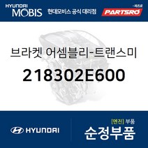 투싼 1세대 미션미미(트랜스미션 마운팅 브라켓) (218302E600)