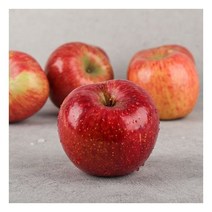 경북 청송 사과 부사 정품 2.5kg 소과(11-14과 내외)