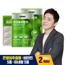GNM자연의품격 징코 빌로바11 30정, 2개
