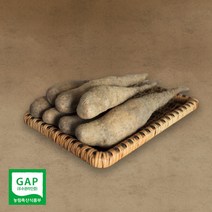 흙향기 우수농작물 마 안동마 산마 참마 산약 생마 햇마 3kg 5kg, 산마 중품 5kg