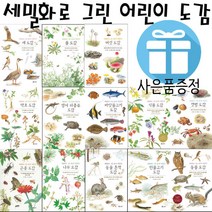 보리 세밀화로 그린 보리 어린이 도감 시리즈, 3. 곤충 도감