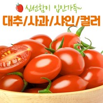 스위프리 스테비아 대추 방울 토마토 2kg 샤인마토 사과향 샤인 컬러 토망고 500g 2팩 4팩, 7. 방울 토마토 칼라 칵테일 500g 4팩