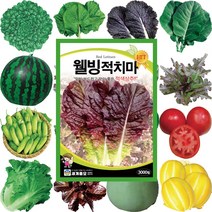 텃밭채소 로메인종자 콩씨앗 부추씨앗 꽃씨몰 고들빼기씨앗 해바라기 상추씨 씨앗심기, 206 감초 300립, 1개