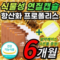 씹어먹는 허브맛 식물성 츄어블 캡슐 비 벌 벌꿀 꿀벌 벌집 프로폴리스 플로폴리스 프로폴리 폴리폴리스 프로플러스 폴라폴리스 플라보노이드 환절기 유해산소 구강 향균작용 항산화 도움, 6개월 / 60캡슐X6개 + 사은품