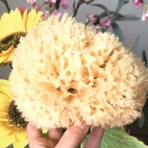 친환경 샤워타올 천연 해면 저자극 부드러운 목욕스펀지, 허니컴5~5.5 inch