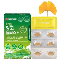 일양약품 혈액순환 개선제 영양제 은행잎추출물 기억력 혈행 개선, 1박스 1개월분