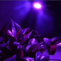 수경재배기 틔운미니씨앗 전열온상선 세바팜 스마트팜 풀레뜨 72 LEDs E27 led 식물 성장 빛 전체 스펙트럼, 01 32 LEDs_04 220V   4 PCS