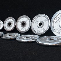 헬스 증량 경량원판 0.25kg 작은 벤치프레스 초경량 1.5kg 원판 저중량 바벨, 스틸 0.5kgX2개