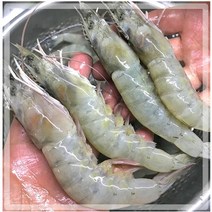 수인씨푸드 새우 특대 신선한 급냉새우 대하 왕새우, 1팩, 1kg