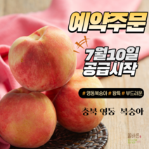 23년 햇 부드러운 복숭아 예약판매 왕특 특 2.5kg 4kg, 특 14~17입 4KG, 1개
