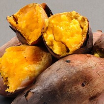 [뜰안애] 안면도 호박고구마 5kg(특상/100g-300g내), 단품