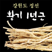황기/1년근/100g/강원도 정선, 100g, 1개