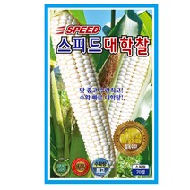 KS 스피드대학찰 옥수수씨앗 70립, 단품