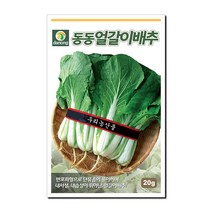 다농 동동얼갈이배추 씨앗 20g