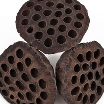 동의한재 국산 햇 연방 연자방 연꽃씨방 100송이, 1개