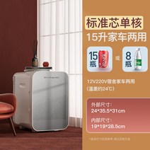 초미니냉장고 술장고 냉온장고 음쓰냉장고 미니 냉장고 자동차 휴대용 원룸 차박 캠핑 초소형, C
