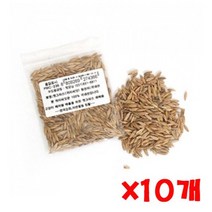 [유앤아이쇼핑] 펫모닝 귀리씨앗 12g 10개 국산귀리씨앗 캣그라스 캣 1272EA, 유앤아이쇼핑 본상품선택, 유앤아이쇼핑 1