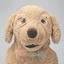 이케아 강아지인형 고시그골덴 골든리트리버 애착인형 조카선물 대형, 고시그골덴70cm, 본상품선택