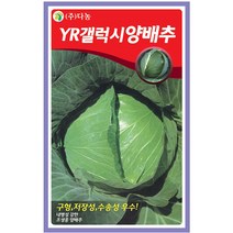 두메 부추 100립 부추씨앗 부추씨 야채씨 야채씨앗 채소씨 채소씨앗, 18_다농_YR갤럭시 양배추(100립)
