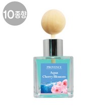 [더허브] 프로방스 카 디퓨져 50ml /10종향 1+1, 블랙체리:후리지아뮤게