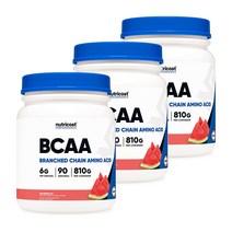 BCAA 파우더 90회분 수박맛 3병, 단품, 단품