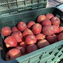 안동 부사 사과 2kg 중소과 8-10과 사과직거래 사과한박스 부사사과, 단품