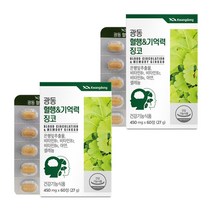 광동 혈행&기억력 징코, 60정, 2개