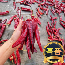 22년 해남 건고추 햇고추 해남 홍고추, 해남 햇 홍고추 5kg