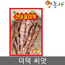 더덕씨앗 3g, 더덕, 더덕