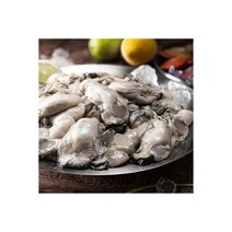 국내산 통영 생굴 1kg 햇굴 출시 통영 49번 경매인 산지직송