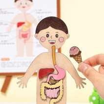 민화 교육교구 음식물 소화기관 재미있는 인체지도 만들기 diy 초등과학교구 MDF, 민화 재미있는 인체지도(소화기관)