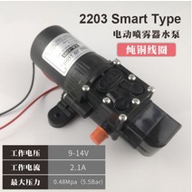 충전식 농약분무기 리튬배터리 살포기 전동 자동 12V 전기 분무기 다이어프램 펌프 소형 모터 워터 유형 22, 02 Smart type