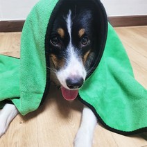 밝개맑개 맑개수건 강아지수건 대형견 펫타올, 초록