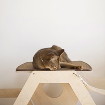 몬도미오펫 벌집캣타워 액세서리 와이드루프, 자작나무, 1개