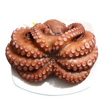 남해안 삼천포 자연산 돌문어 자숙문어-제수용/숙회용 자숙문어., 1.3kg~1.49kg