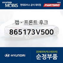 캡-프론트 후크 (865173V500) 그랜저HG 그랜저 하이브리드 현대모비스 부품 공식대리점 온라인쇼핑몰 파츠로