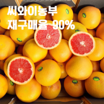 씨와이농부 레드자몽 재구매율90%루비 고당도 골드메로 자몽 중과 대과 특과 15kg, 300g, 50개
