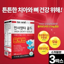 치아 영양제 인사 덴티 골드 60정 칼슘 프로폴리스 비타민C 부모님 어르신 노인 치아 뼈 건강 미국산, 3박스(6개월분)