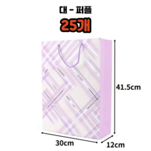마스 체크 무늬 컬러 쇼핑백 10개 25개 50개 100개 이쁜 답례 쇼핑백 옷가게 종이백 생일 선물 포장 가방 단체 선물 포장 세로 쇼핑백 어린이집 생일 구디백 화장품 쇼핑백, 대 - 퍼플