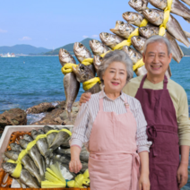 먹사부 영광 법성포 국내산 굴비 선물세트 선물용 가정용 소 중 특대 장대 말린 10마리 20미 포장 대용량 생선 참조기 제수용 소포장, 20미 엮걸이 굴비 (1.5kg)