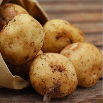 2020햇감자 농산물직거래 맛좋은 감자 햇감자 상10kg, 1박스, 상)_10kg