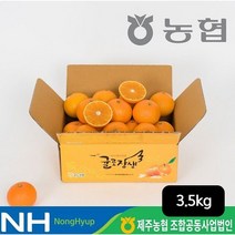 귤로장생 농협 제주 귤로장생 당도선별 황금향 3.5kg, 단일옵션