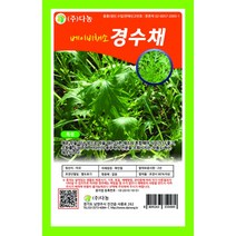 다농 베이비채소 경수채씨앗 10g