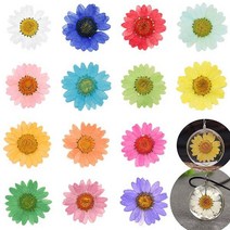 짤순이 세탁 12 Pcs 에폭시 수 지 던 트 목걸이 쥬얼리 공예 DIY 원룸 대용량, red