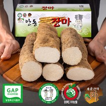 국내산 안동 장마 2kg 5kg 산지직송 햇마 생마 알뜰 가정용 중품 상품 특품 참마