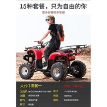 농업 사륜 오토바이 사발이 바이크 125cc 레저 해변, 빅불 패키지 1