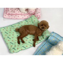 펫타임 강아지 고양이 소형견 중형견 개모차 켄넬 시원한 여름 쿨링 쿠션 쿨매트 쿨방석, 아보카도