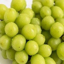 고당도 프리미엄 김천 상주 샤인머스켓 특등품 2kg 3-4송이